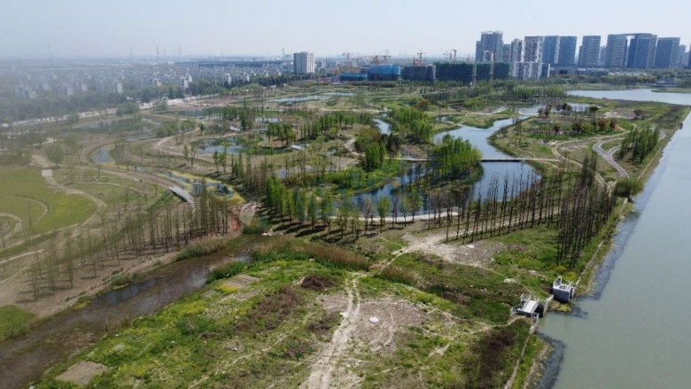 昆山夏驾河湿地公园目前的状态目前还是半成品的状态