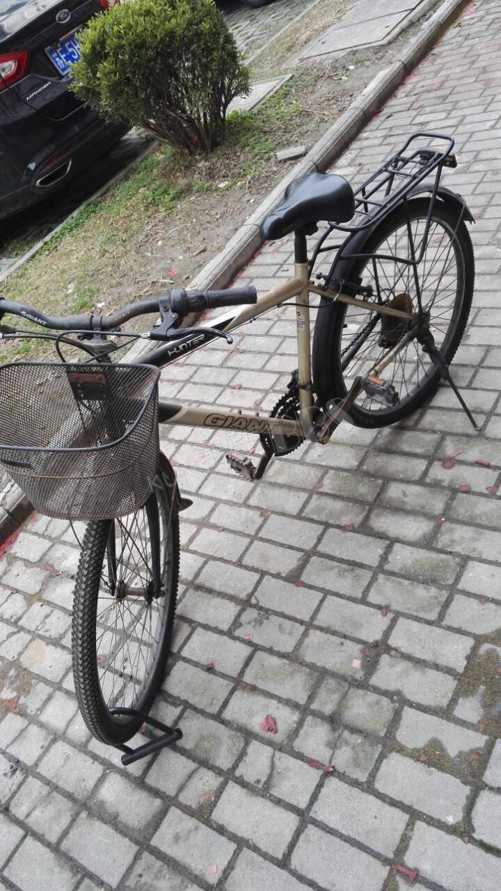 老款捷安特自行车