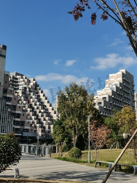 昆山花桥游站未来城的建筑很有艺术感,路边还种了柚子树